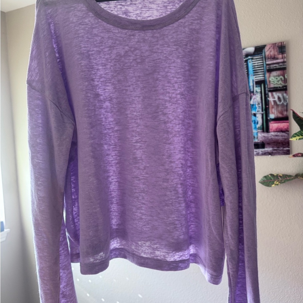 Purple Sheer Long Sleeve Top